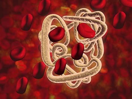 Principales globinas y variantes de hemoglobina en el organismo humano