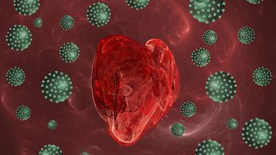 ¿Qué es la muerte celular?