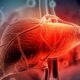 Hepatitis A aguda: etiología, manifestaciones, prevención y tratamiento