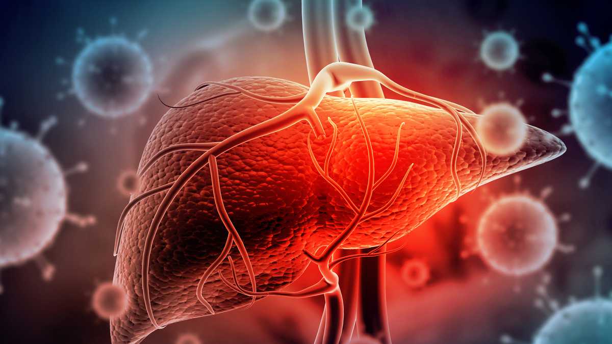 Vacunación contra la hepatits A