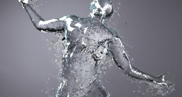 ¿Cómo se distribuye el agua en el interior del organismo?