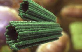 ¿Qué son los centriolos? Estructuras celulares.