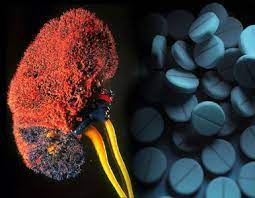 10 aspectos que influyen en las concentraciones de los medicamentos en el organismo y en sus efectos.