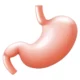 ¿Qué es la gastroparesia?