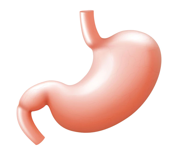 ¿Qué es la gastroparesia?