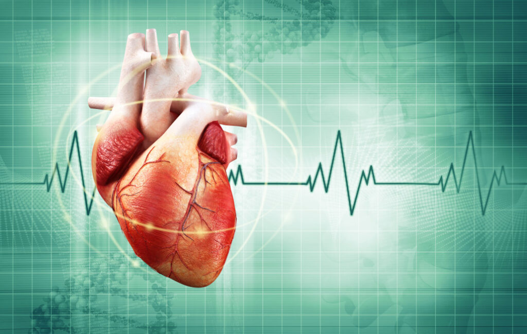 ¿Cuáles son las frecuencias de los marcapasos cardiacos?