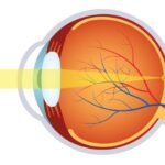 ¿Cómo es la óptica del ojo humano?