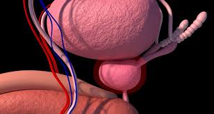 ¿Que es la prostatitis?