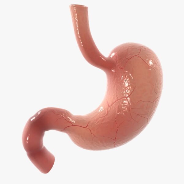 ¿Cuáles son las causas y tratamiento de la gastropatía erosiva?
