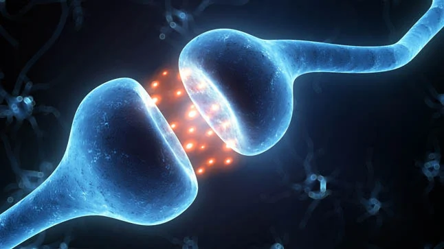 ¿Qué es la miastenia gravis?