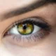¿Qué es el ojo? Anatomía general