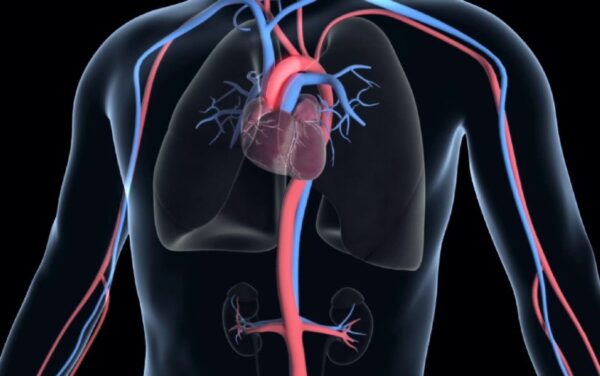 ¿Cómo es el dolor torácico de origen aórtico?