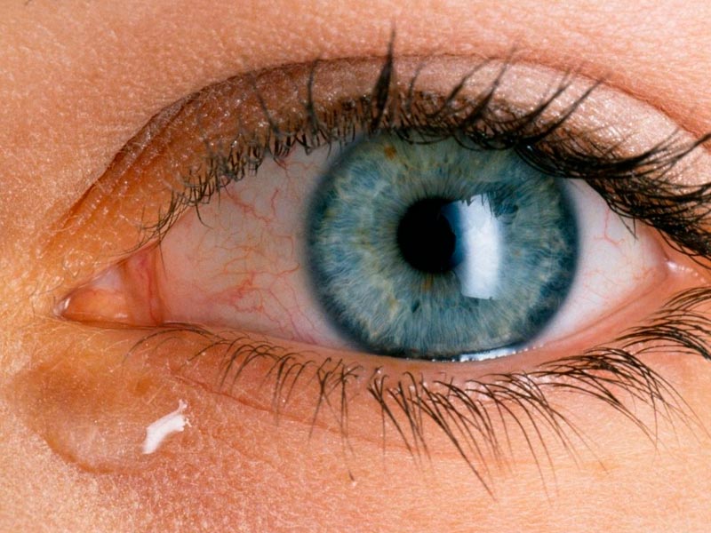 ¿Qué es la película lagrimal del ojo?