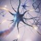 ¿Qué es el síndrome de neurona motora superior?