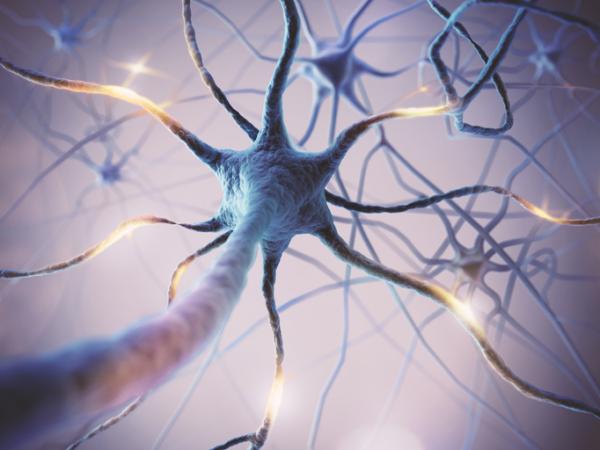 ¿Qué es el síndrome de neurona motora superior?