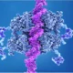 Defectos genéticos en pacientes con cáncer de colon