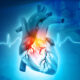 ¿Cómo se excita el músculo del corazón?