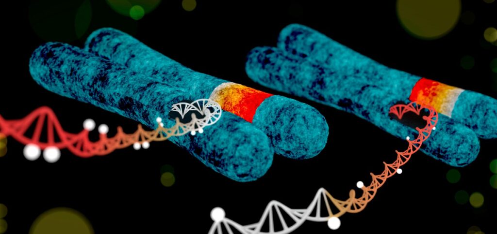 Factores genéticos para padecer diabetes mellitus tipo 1