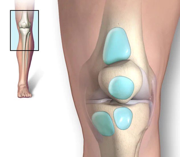 ¿Cuáles son los tipos más frecuentes de Bursitis?