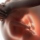 Cambios en el metabolismo durante el embarazo