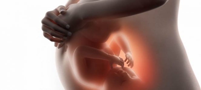 Cambios en el metabolismo durante el embarazo