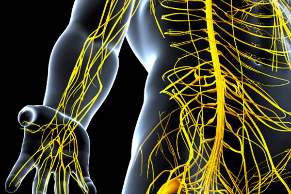 Causas de la polineuropatía simétrica distal