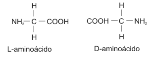 Características de los aminoácidos que forman proteínas