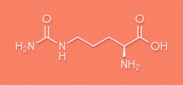 Importancia de las proteínas para el cuerpo humano
