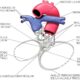 ¿Qué es el esqueleto fibroso del corazón?