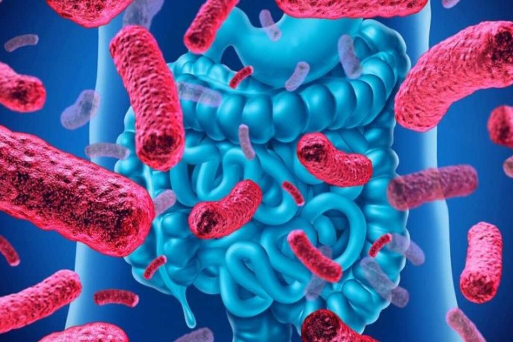 ¿Cómo se adquiere la infección por Clostridium difficile?