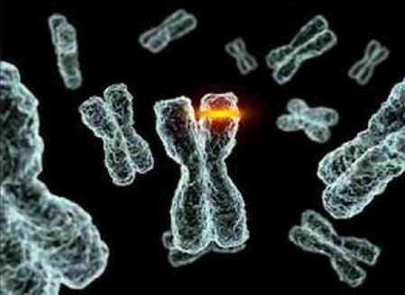 Genes relacionados con feocromocitoma y paraganglioma
