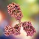 ¿Qué es la glomerulopatía por IgA?