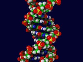 Importancia de las proteínas para el cuerpo humano