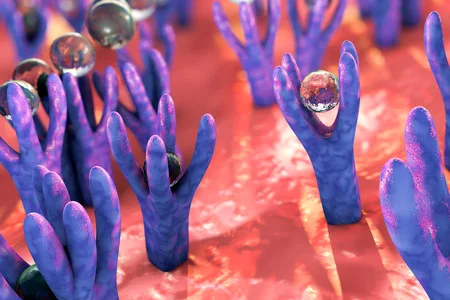 ¿Qué son los patrones moleculares relacionados con la lesión?