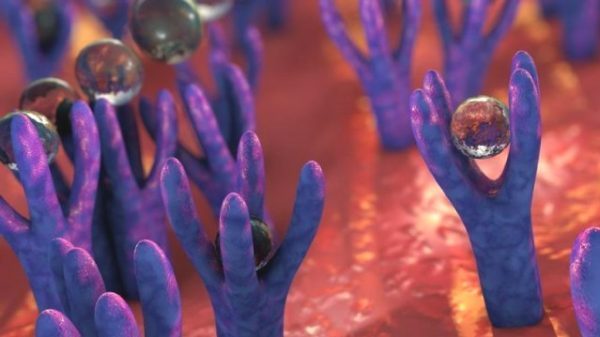 ¿Qué es un receptor farmacológico?