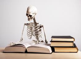 5 de los mejores libros de anatomía humana