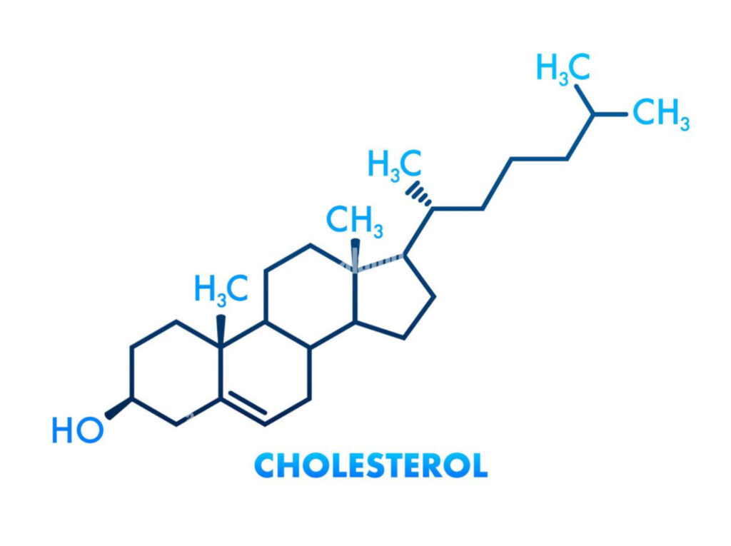 ¿Qué es el colesterol?