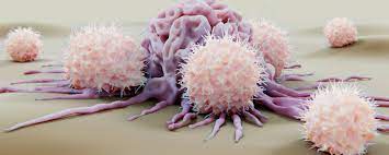 ¿Qué son las células NK?