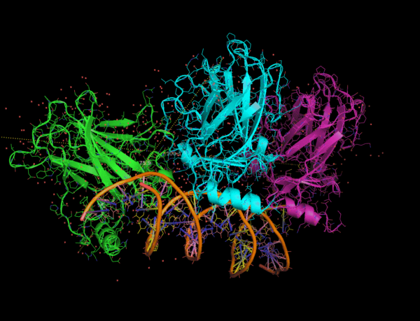 Utilidad de la proteómica en la medicina