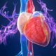 Clasificación de las miocardiopatías