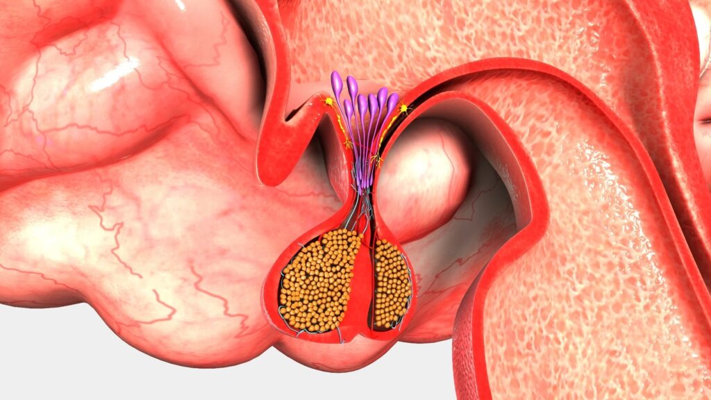¿Cuále son las causas tumorales de hipopituitarismo?