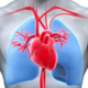 Efectos de la acidosis metabólica sobre el sistema cardiovascular