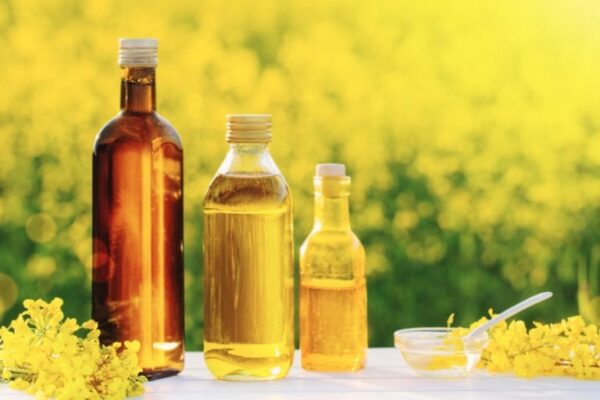 Beneficios del consumo de aceite de canola