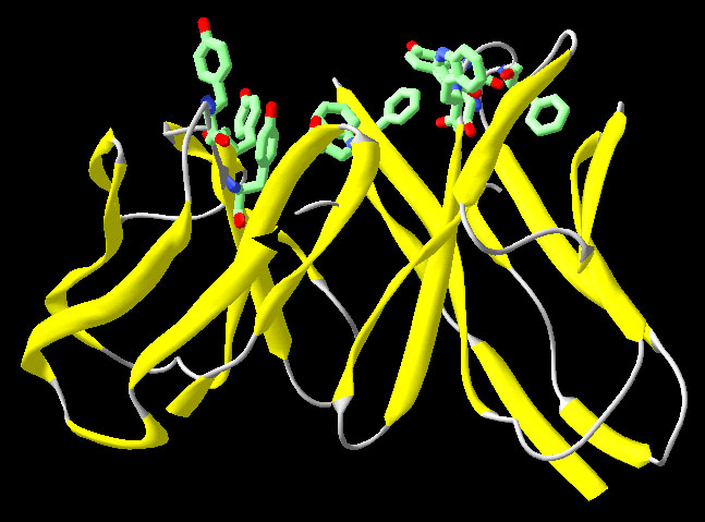 Unión de fármacos a proteínas transportadoras de hormonas
