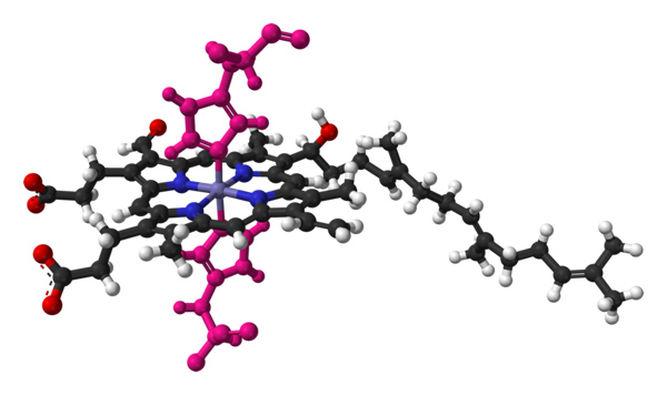 Biotransformación de fármacos