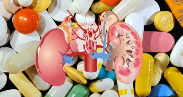 Excreción renal de fármacos