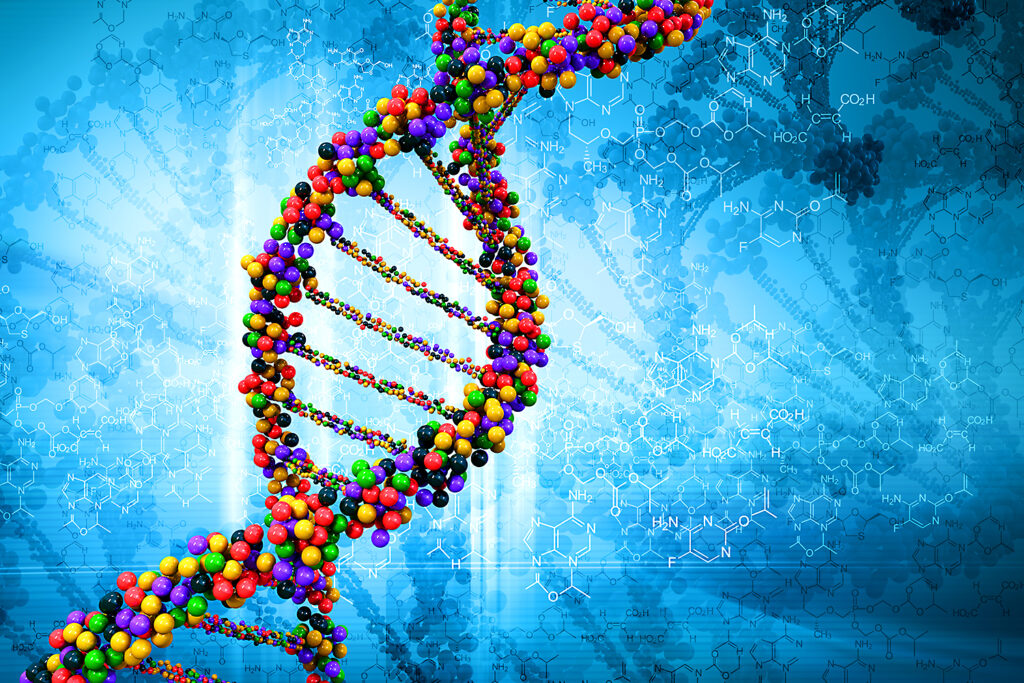 ¿Qué son los genes codificadores de proteínas?