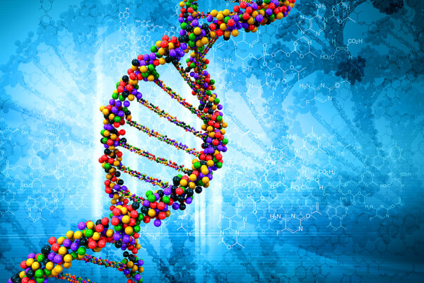 Variación en la regulación de los genes