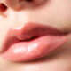 Anatomía de los labios