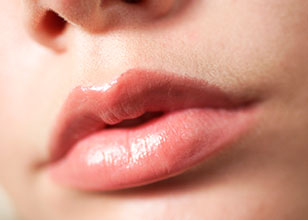 Anatomía de los labios